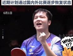 IM体育官网入口-关于韩国乒乓球队爆冷德国乒乓球队，樊振东完成帽子戏法的信息