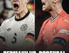 IM体育在线注册-德国队逆转葡萄牙队，张本智和关键制胜的简单介绍