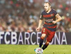 IM Sport-弗拉霍维奇爆发点燃战火，法国提前终结悬念，挪威独舞戛然而止