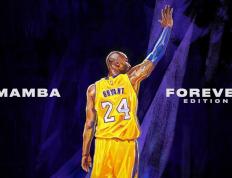 IM体育-赛道上的瞬息万变，哈斯车队险胜索伯，诺里斯刷新单圈纪录