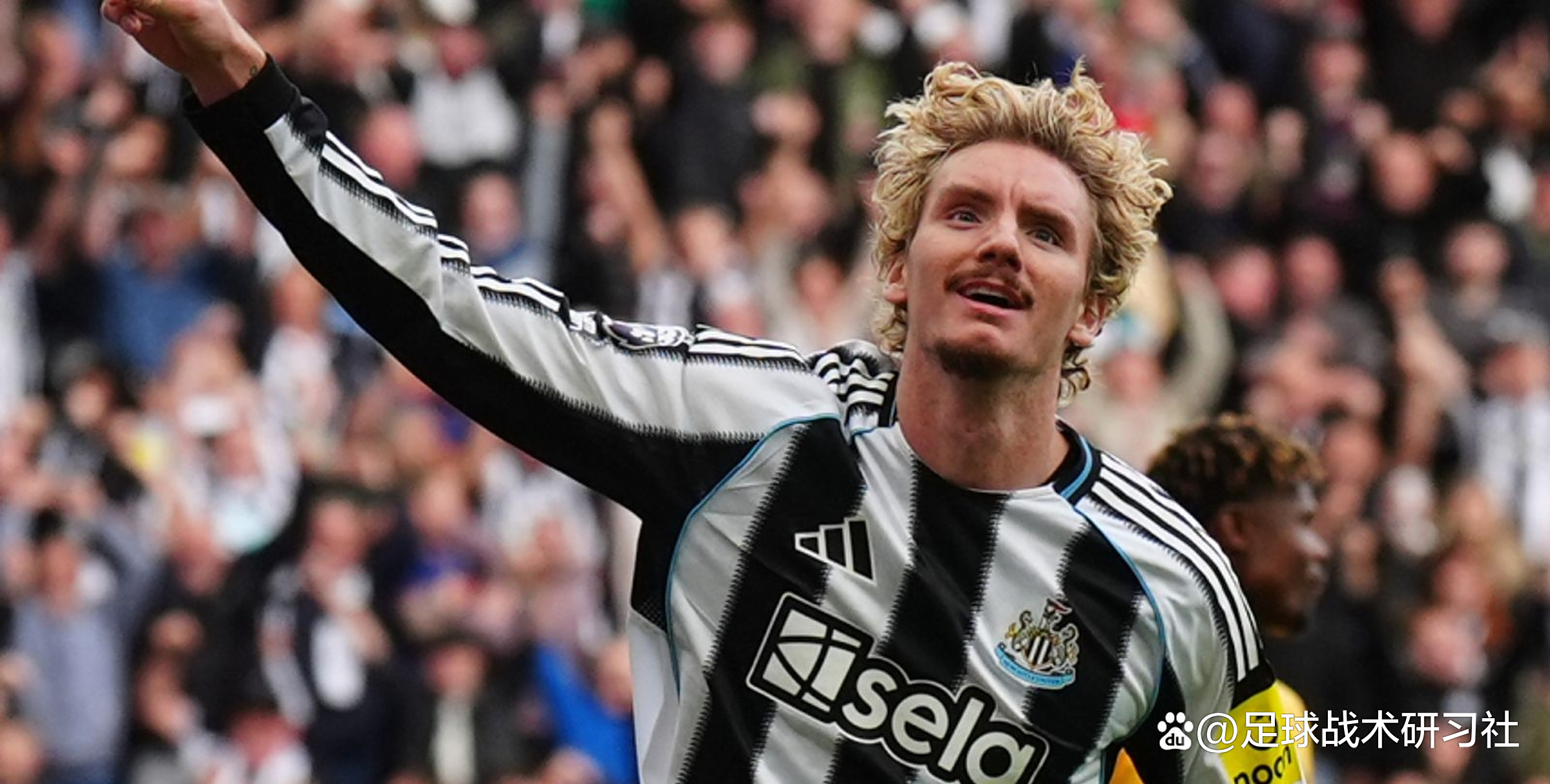 IM体育-狼队主场胜利，继续保持上升势头的简单介绍