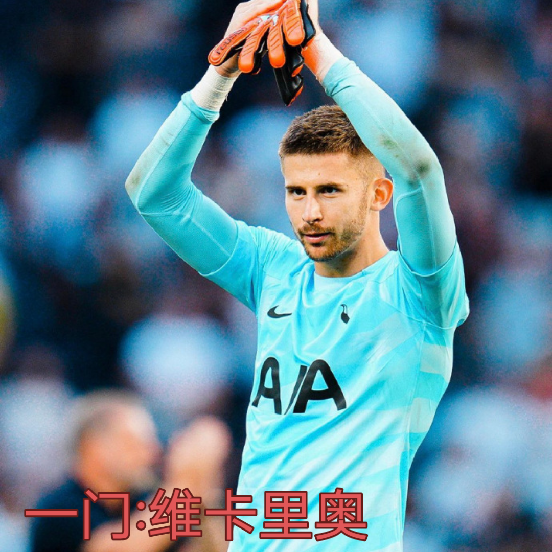 IM体育数据分析平台-熱刺堅持不懈，英超聯賽排名升高