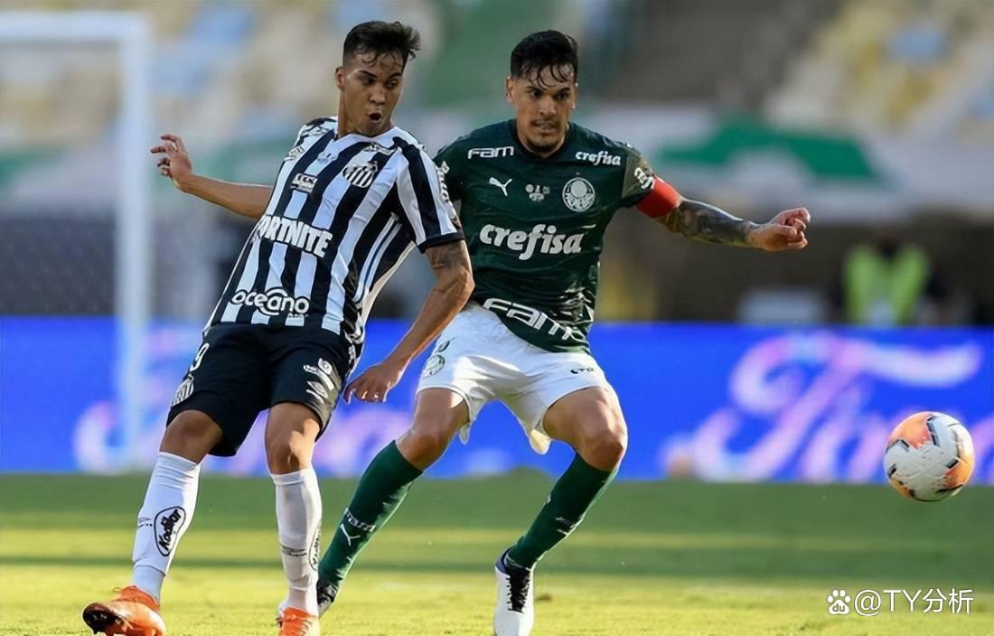 IM体育网页版登录入口-南美强队备战国内联赛，瞄准冠军