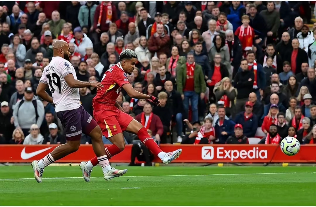 IM体育app-包含利物浦横扫马赛,埃尔林一己之力扛起全队的词条