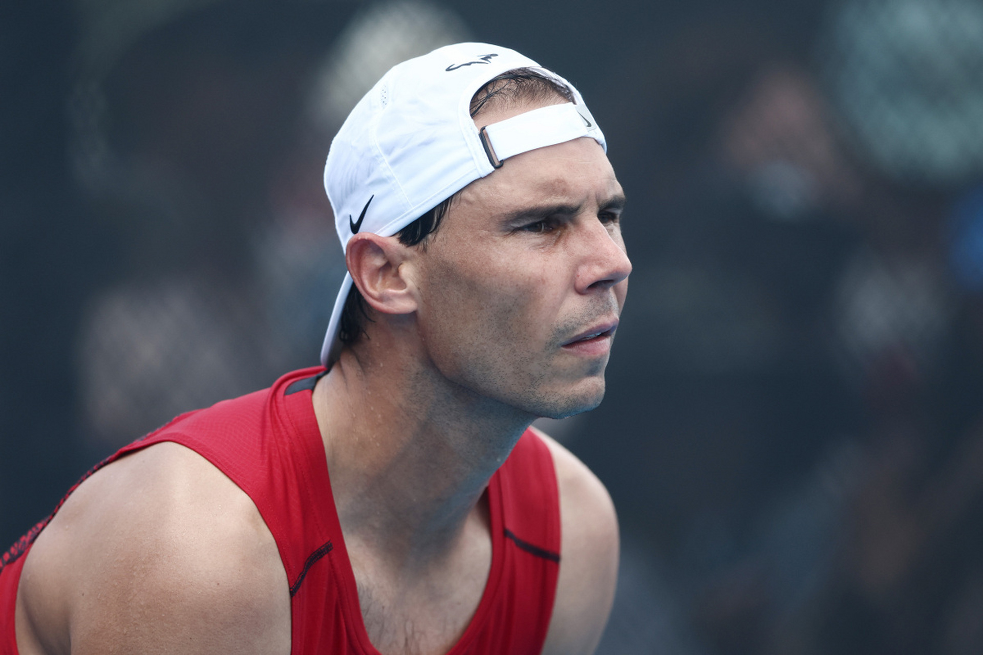 IM体育平台-ATP总决赛横扫法网，纳达尔扛起全队